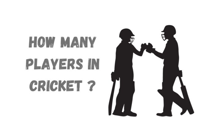 how many players in cricket how many players in cricket
